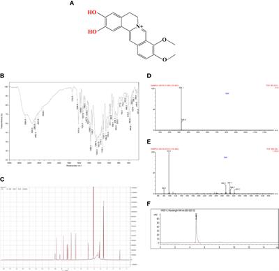 Demethyleneberberine alleviated the inflammatory response by targeting MD-2 to inhibit the TLR4 signaling